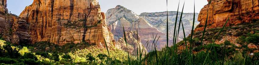 Cedar City