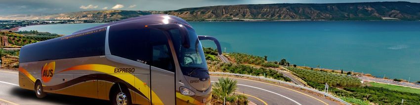 Grupo Autotransportes Unidos De Sinaloa